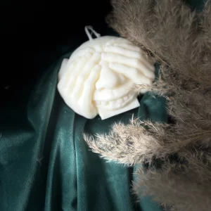 sojų vaško žvakė